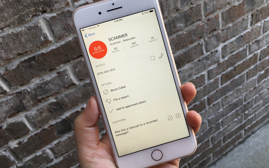 The Life and Death of a Scam Call