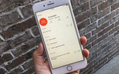 The Life and Death of a Scam Call